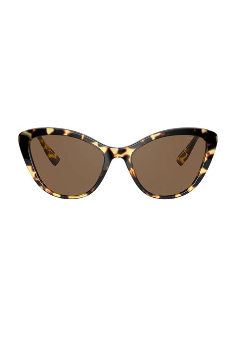 Miu Miu Confidential Cat Eye in Light Havana & Brown .